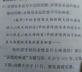以詩歌形式開頭關(guān)于采訪的作文