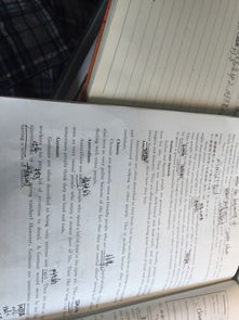 英語初三我喜歡讀書的作文開頭結尾