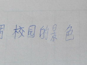 校園的風(fēng)景600字作文開(kāi)頭怎么寫