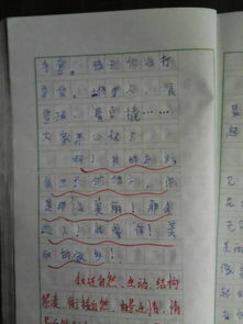 四級第六單元作文好開頭結(jié)尾