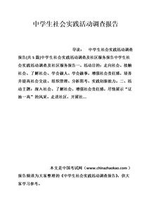 高中學(xué)生社會實(shí)踐報(bào)告范文(高中學(xué)生個(gè)人社會實(shí)踐報(bào)告范文)