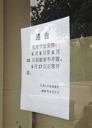高中作文愛(ài)國(guó)類(lèi)開(kāi)頭結(jié)尾