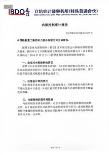 內(nèi)審審計(jì)報(bào)告范文(簡(jiǎn)易內(nèi)審審計(jì)報(bào)告范文)
