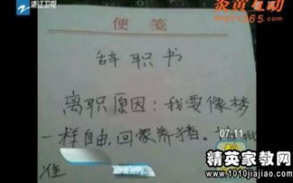 工程造價員 辭職報告()