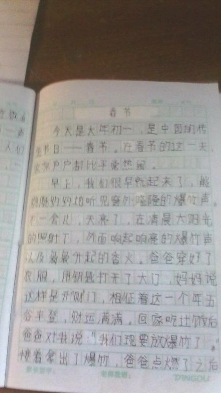 形容春節(jié)的作文開(kāi)頭