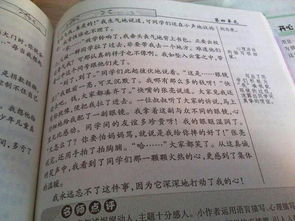友愛作文開頭結(jié)尾大全
