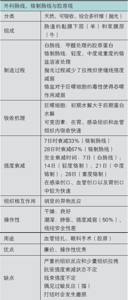 個人優(yōu)點和缺點總結(jié)(個人總結(jié)缺點和不足)