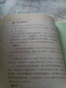 語文收獲500字作文開頭結(jié)尾