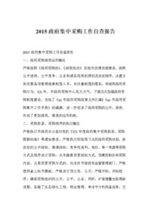 政府集中采購工作的自查總結(jié)報(bào)告范文(個(gè)人自查總結(jié)報(bào)告)