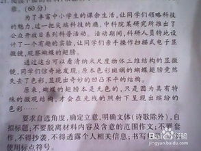 他怎么了作文開頭和結(jié)尾