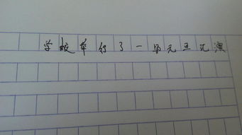 看元旦表演作文開(kāi)頭