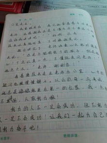 關(guān)于老師啟迪學(xué)生的作文開頭