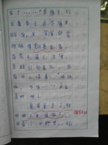 第六單元語(yǔ)文下冊(cè)作文開(kāi)頭