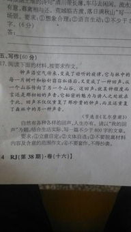 我的財富作文以環(huán)境描寫開頭