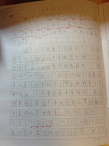 一瞬間我長大了作文開頭80字