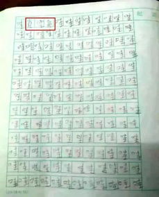 每天是一首詩(shī)作文開頭