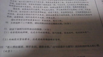 笨拙的愛作文開頭