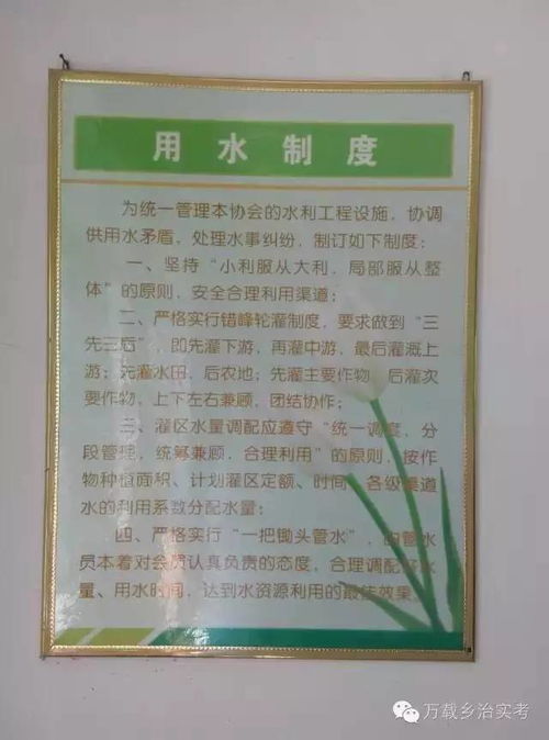 道德實踐伴我行作文開頭