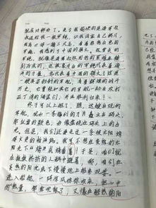 贊人作文開頭