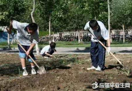 衛(wèi)生所社會(huì)實(shí)踐報(bào)告范文(衛(wèi)生所社會(huì)實(shí)踐報(bào)告范文)