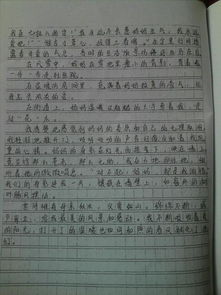 親情類作文600高中作文開頭