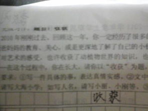 收獲作文600字四級作文開頭結尾