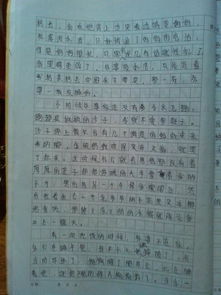 在我記憶的長(zhǎng)河中開頭,溫暖開頭記憶的長(zhǎng)河,在記憶的長(zhǎng)河里開頭的作文有哪些