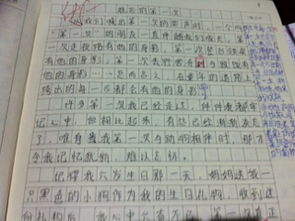 關(guān)于孝敬的事800字作文開頭