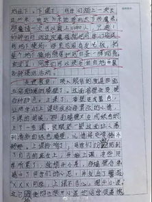 作文,開頭,走進(jìn),老師