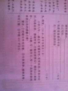 請(qǐng)以謝謝你為題的作文開頭