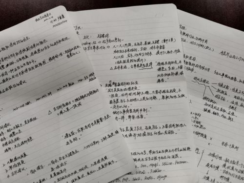 三級(jí)作文好的開頭優(yōu)美句子摘抄大全