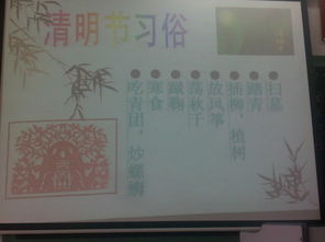 小學清明節(jié)主題活動的總結報告(小學清明節(jié)主題活動總結報告)