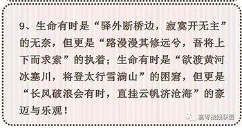忘不了的情開頭作文