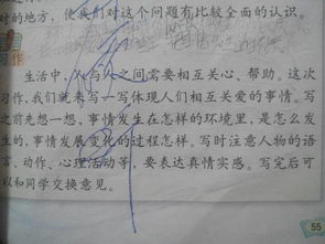 生活中最關心你的人作文開頭結尾