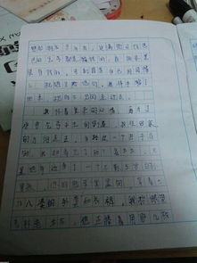 想起那一天的感動(dòng)作文開頭