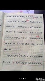 媽媽的目光作文初二開頭結(jié)尾