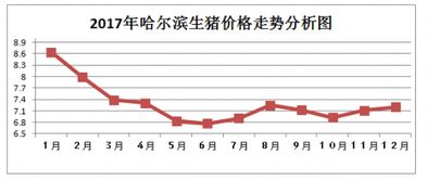 比價報價情況報告(比價報價情況報告)