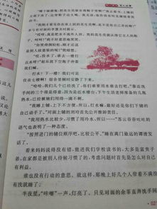姐妹情作文開(kāi)頭結(jié)尾