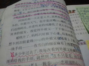 花的校園100字作文開(kāi)頭結(jié)尾