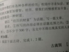 人性的經(jīng)歷作文開頭
