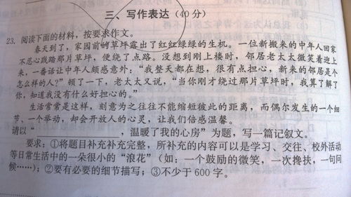 什么什么溫暖了我的心作文600字作文開(kāi)頭