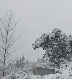 關(guān)于描寫(xiě)雪的作文開(kāi)頭與結(jié)尾,描寫(xiě)雪的作文開(kāi)頭怎么寫(xiě),描寫(xiě)雪的作文開(kāi)頭排比句