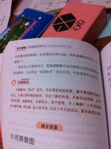 家鄉(xiāng)的冬天的作文開(kāi)頭