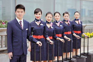 空乘專業(yè)畢業(yè)實習(xí)報告(空乘實習(xí)報告)