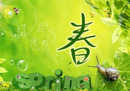 引用詩句的作文開頭,桃花作文開頭帶詩句,桃花開頭的詩句有哪些