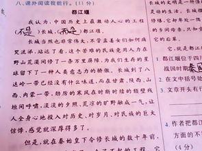 樂(lè)在其中開頭作文開頭