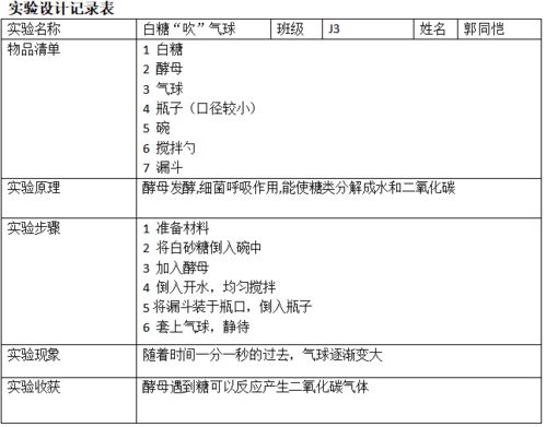 tracepro實驗報告范文(科技實驗報告范文)