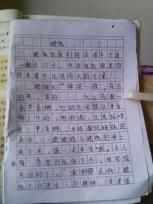 讀書對自己的啟示的作文開頭結(jié)尾