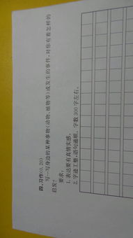 生活的啟示作文的開頭怎么寫100字