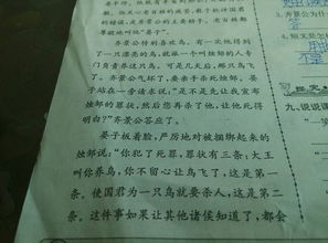 傷害或保護鳥作文開頭